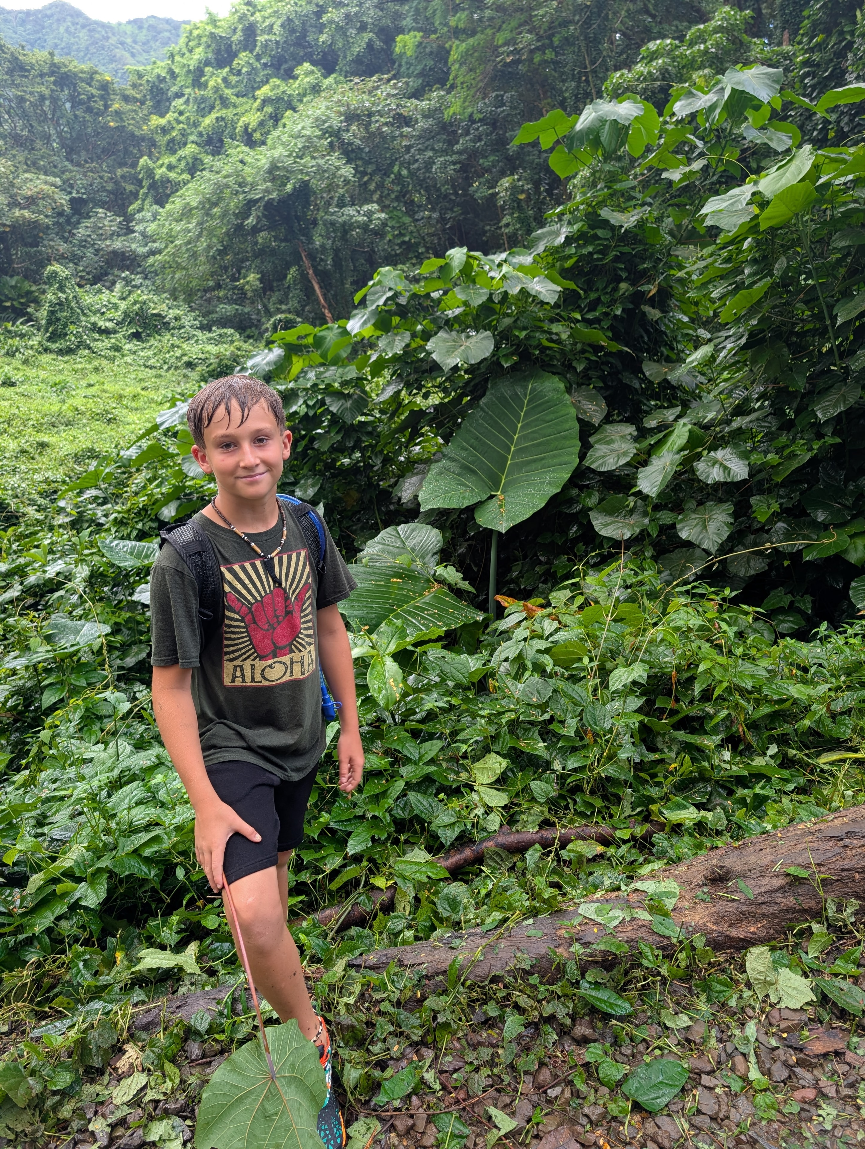 Kid hiking through lush Hawaiian jungle